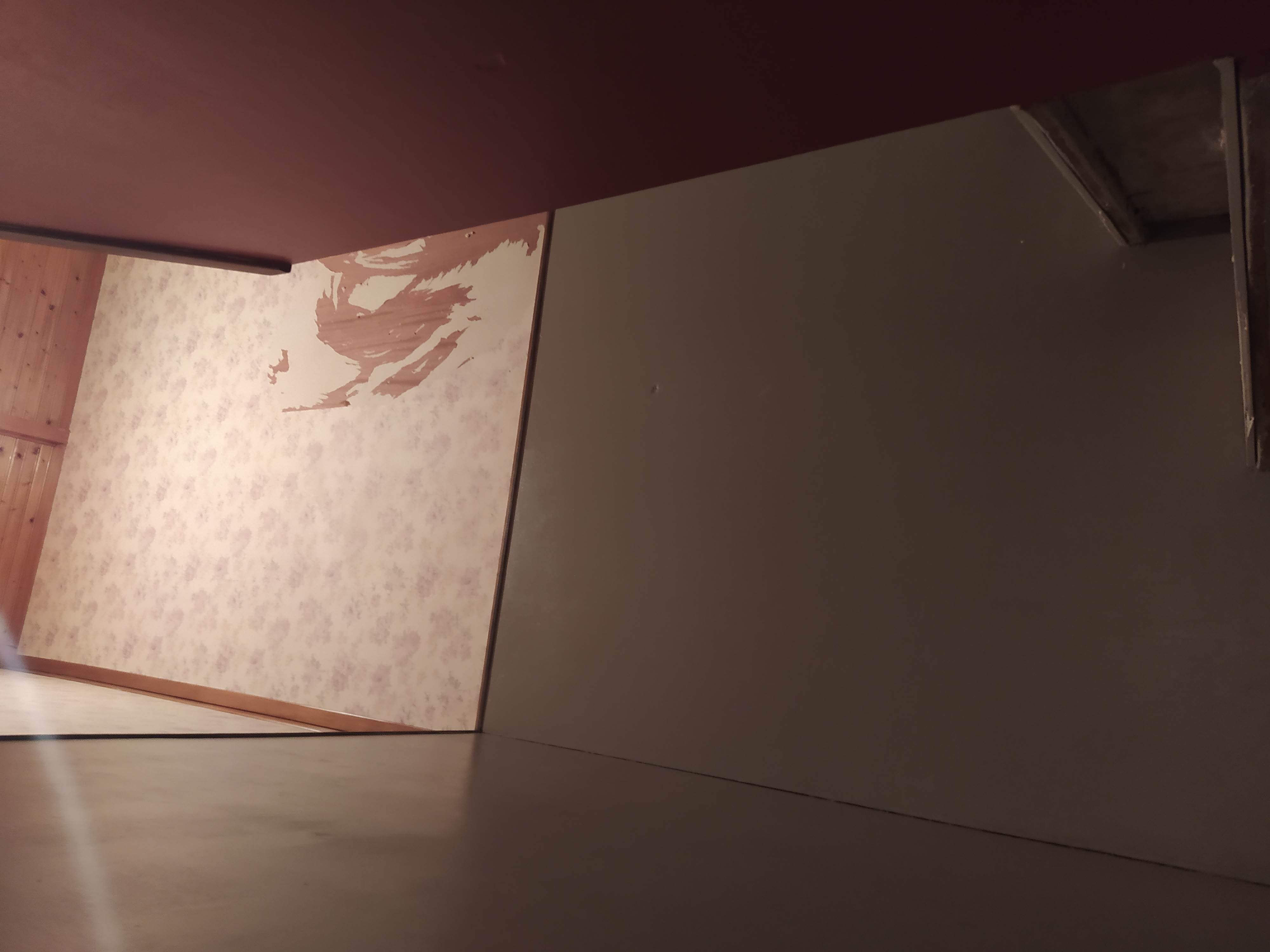 Location escabeau 93 entre particuliers
