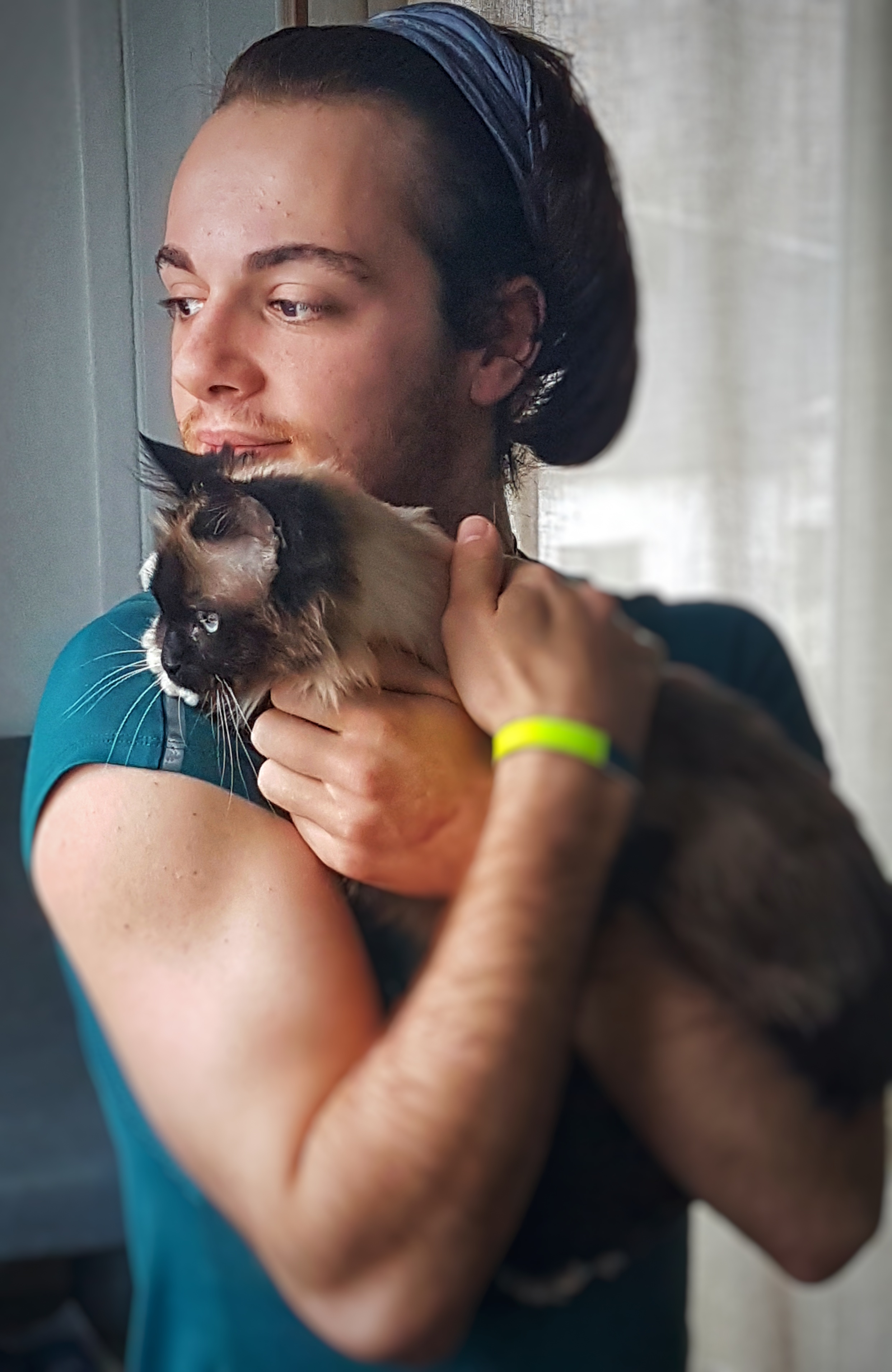 Service garde d'animaux garde animaux (93100 Montreuil