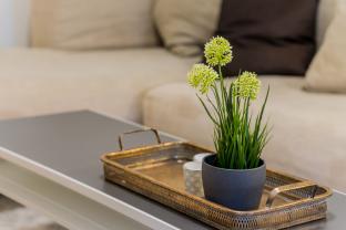 Location : appartement Location : appartement