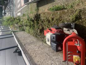 Service : dessouchage Service : dessouchage