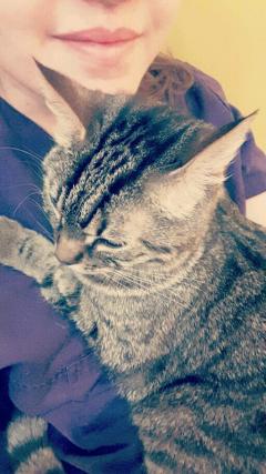 Service : garde animaux Service : garde animaux