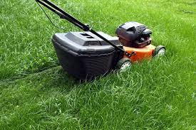 Service tonte de pelouse 67 entre particuliers