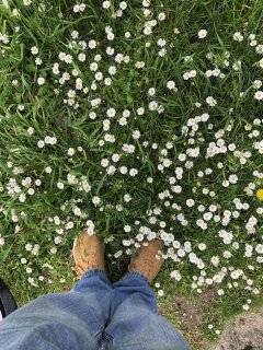 Service : entretien jardin