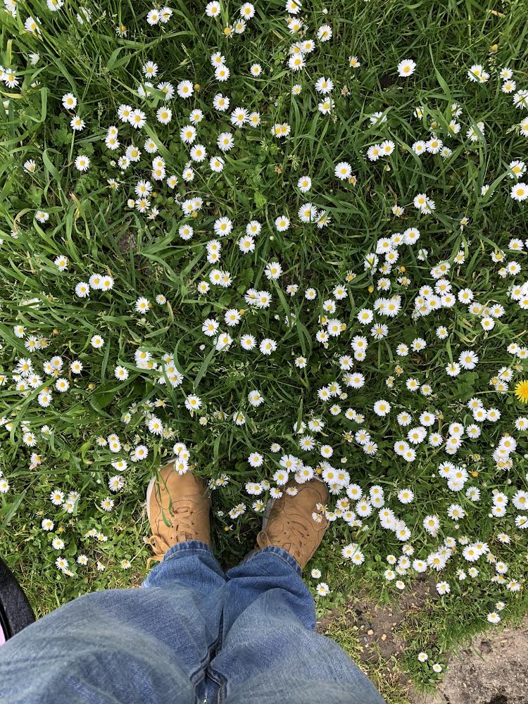 Service entretien jardin 78 entre particuliers