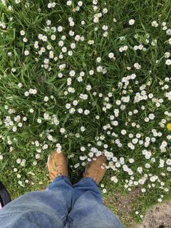 Demander ce jardinier