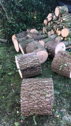 Location : fendeur de buches Location : fendeur de buches