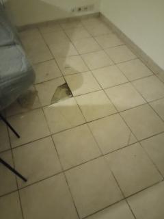 Service : carreleur Service : carreleur