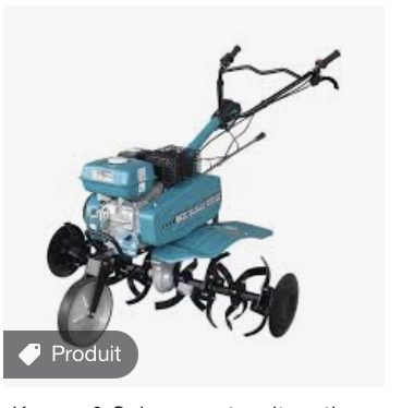 Location motoculteur 69 entre particuliers