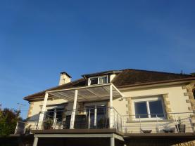 Service : chien Service : chien