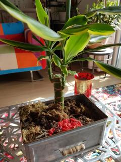 Service : relooking meubles Service : relooking meubles