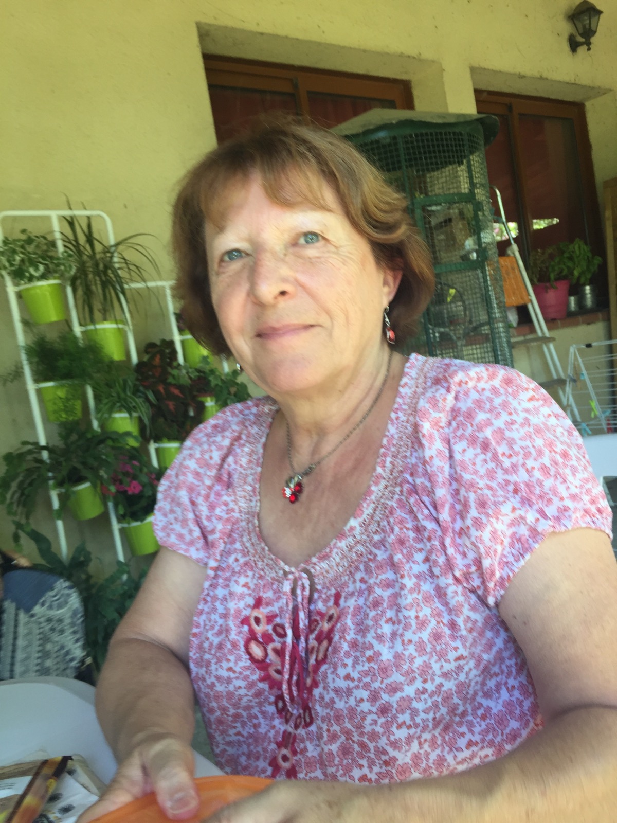 Service repassage 31 entre particuliers