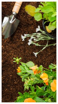 Demander ce jardinier