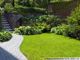 Service : entretien espace vert Service : entretien espace vert