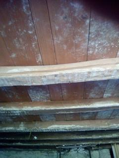 Service : peintre Service : peintre