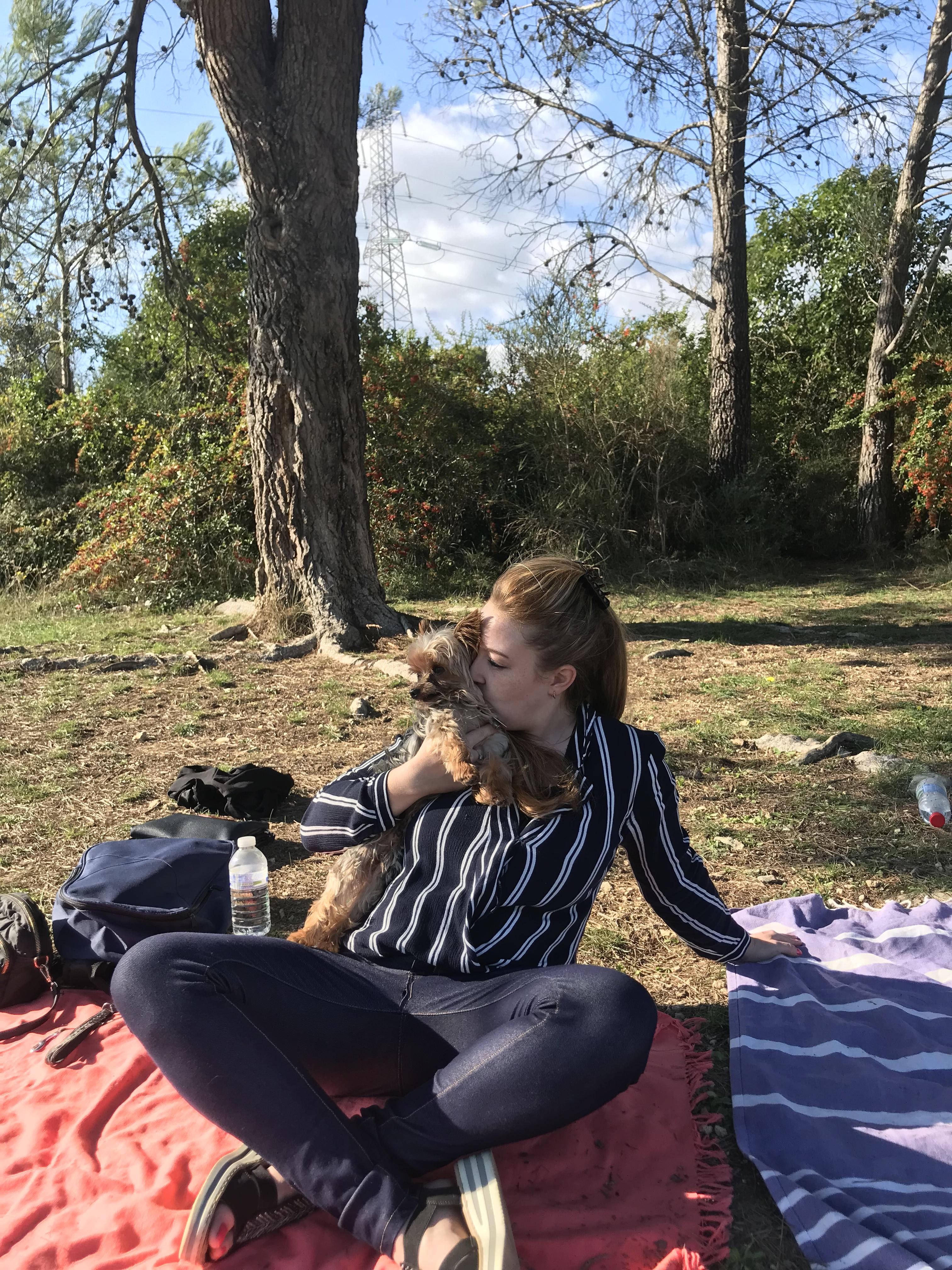 Service chien 06 entre particuliers