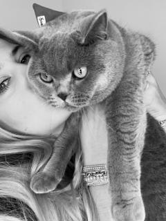 Demander ce catsitter