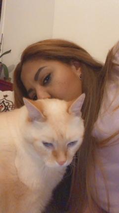 Demander ce catsitter