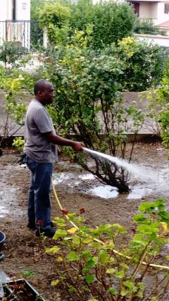 Demander ce jardinier