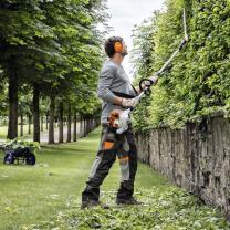 Location : taille haie Location : taille haie