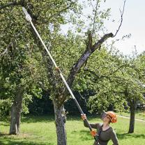 Location : elagueuse Location : elagueuse