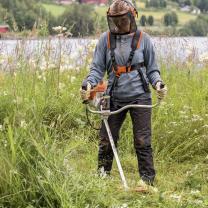 Location : debroussailleuse Location : debroussailleuse