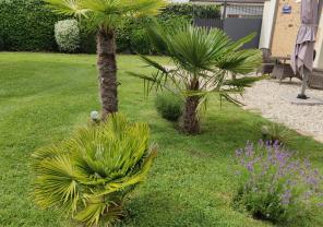 Demander une garde