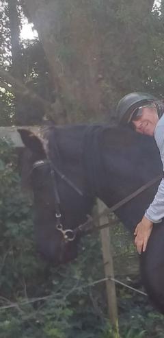 Service : garde animaux Service : garde animaux