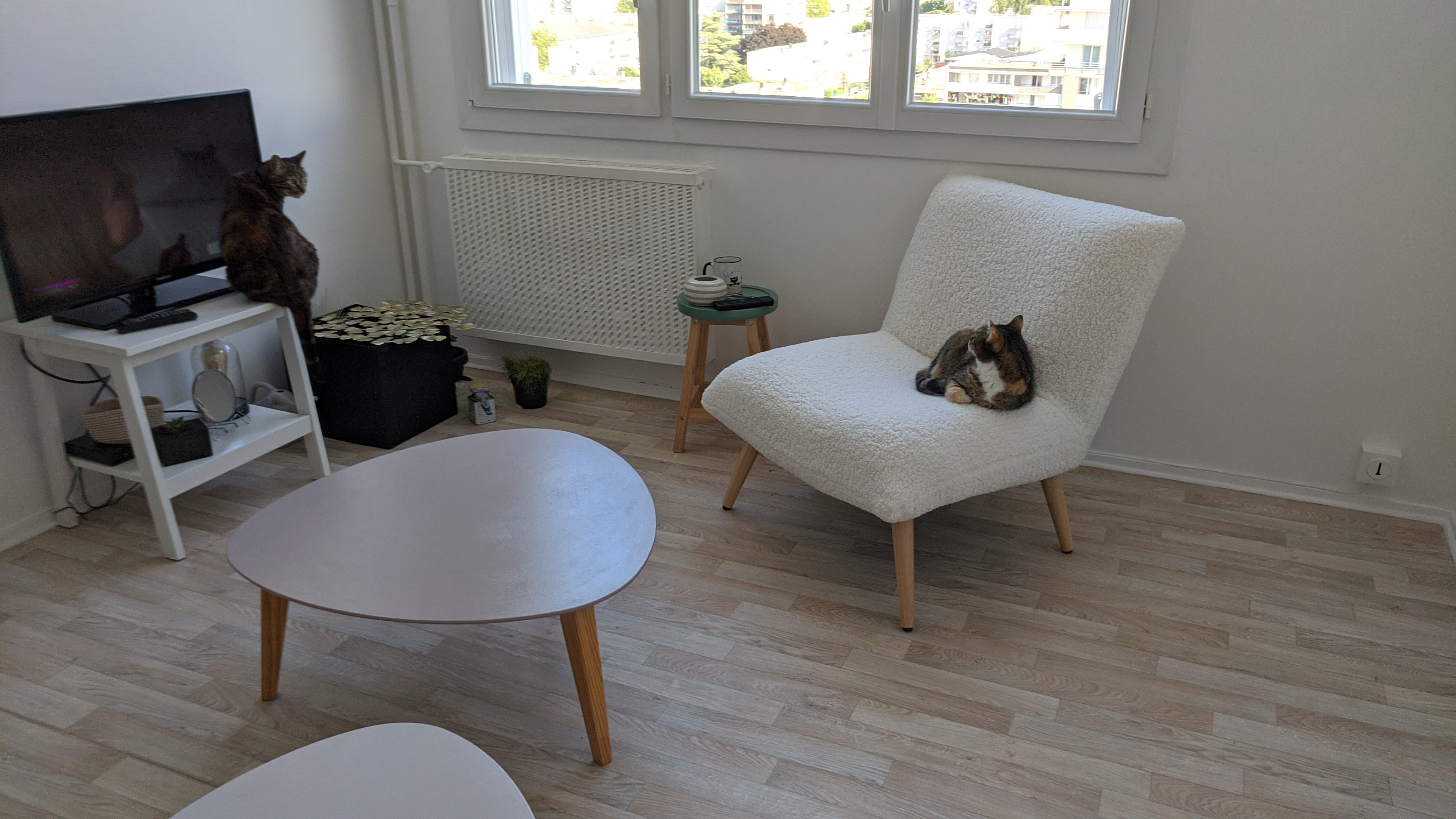 Service chat 37 entre particuliers