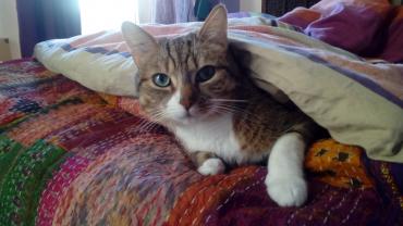 Service : chat Service : chat