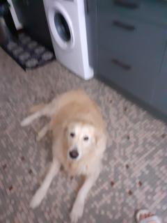 Service : service a personne Service : service a personne