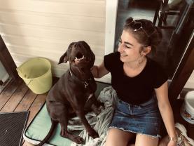 Service : garde animaux Service : garde animaux