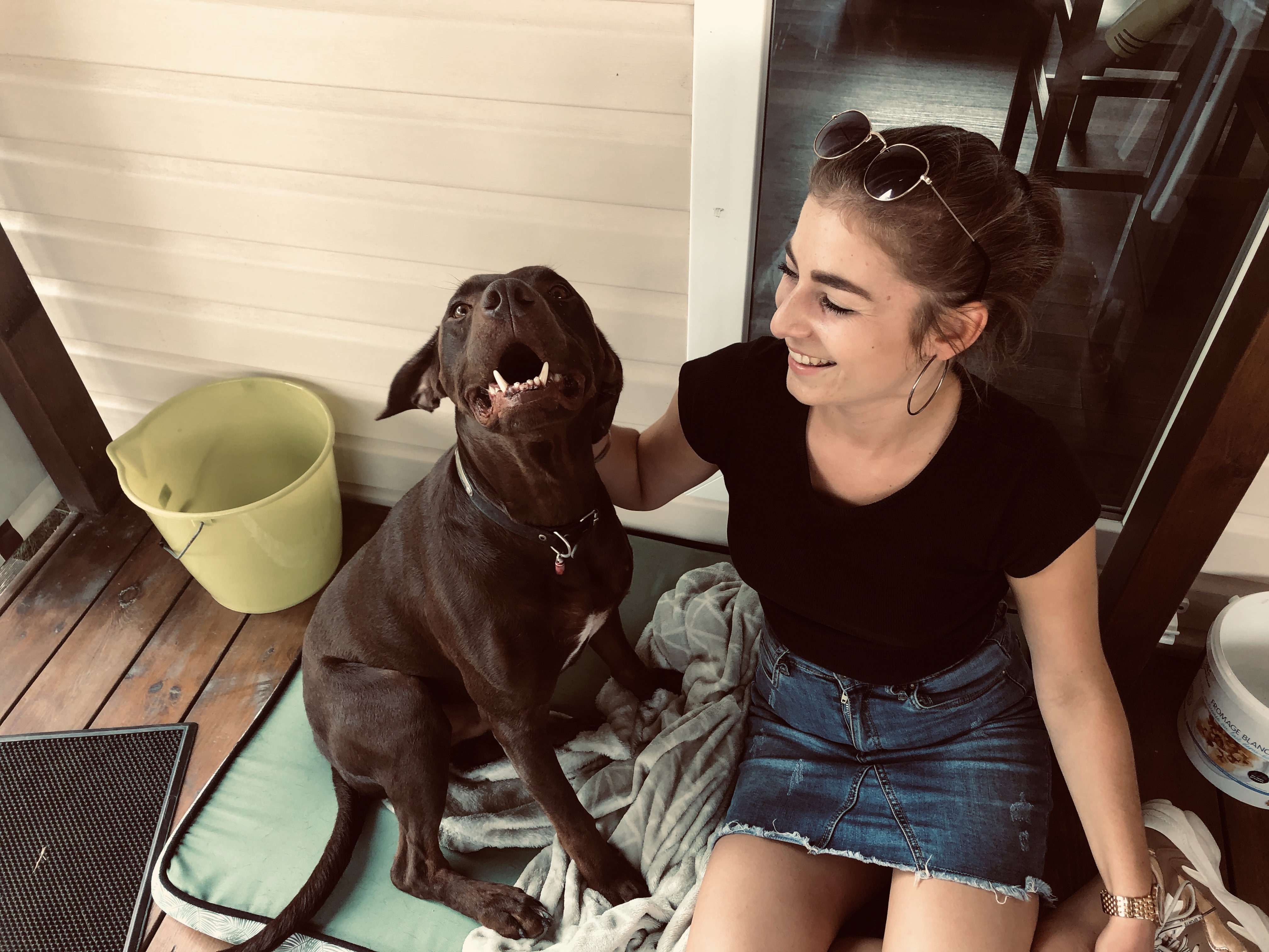 Service garde animaux 49 entre particuliers