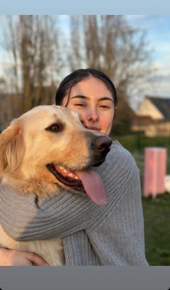 Service : garde animaux Service : garde animaux