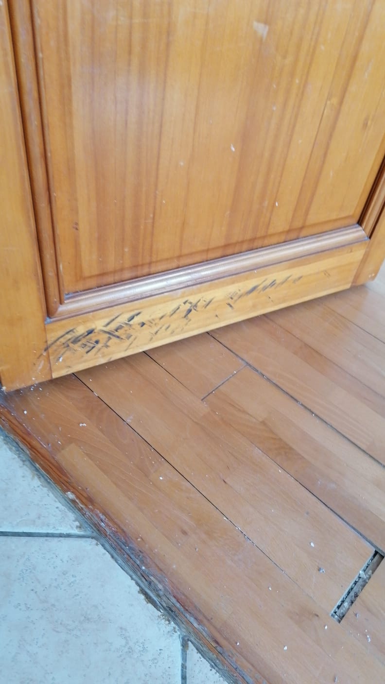 Service pose de parquet 92 entre particuliers