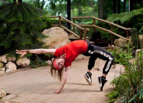 Service : cours danse Service : cours danse