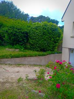 Service : taille de haies Service : taille de haies