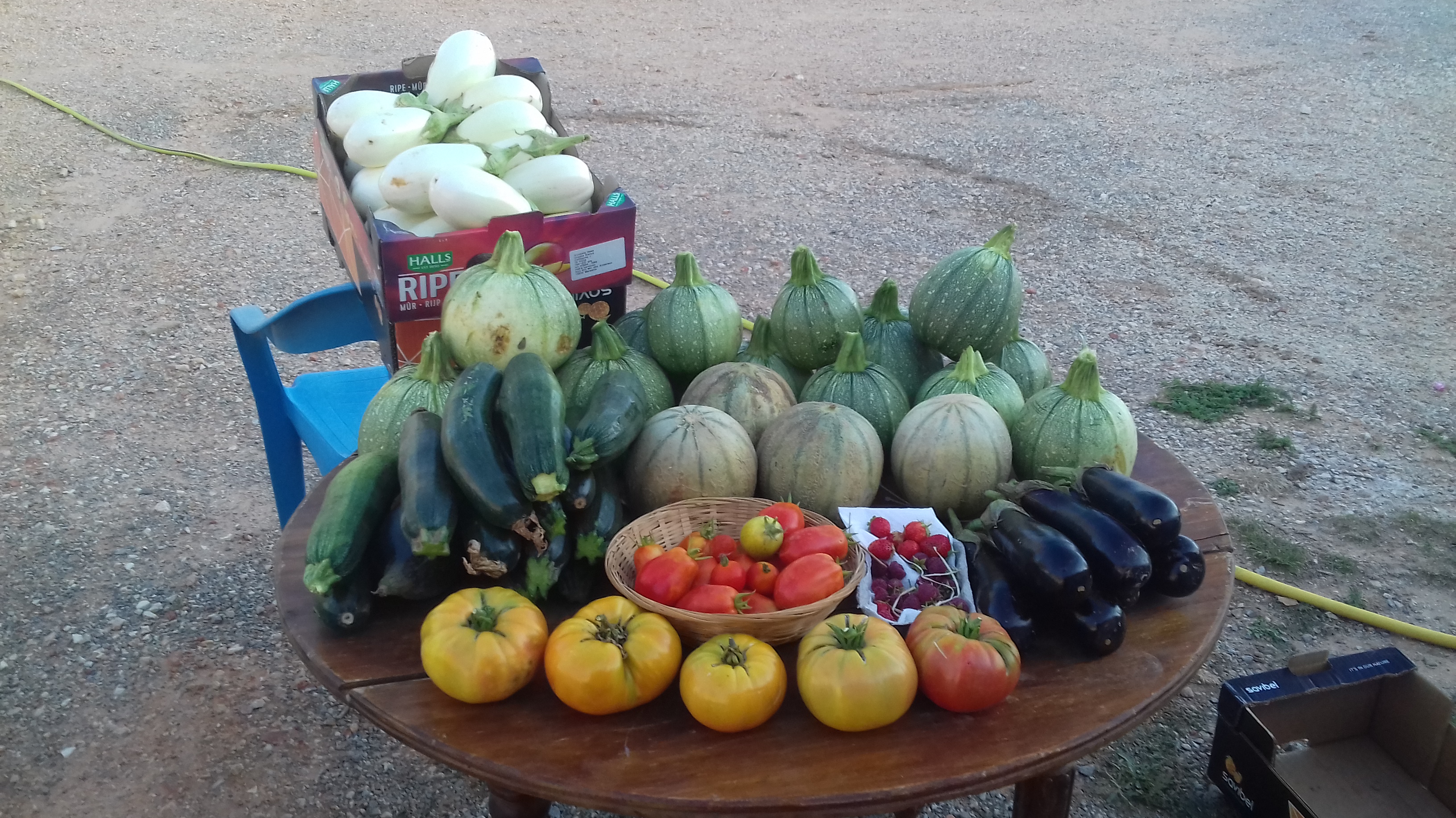Location jardin potager 13 entre particuliers