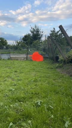 Location : tondeuse Location : tondeuse