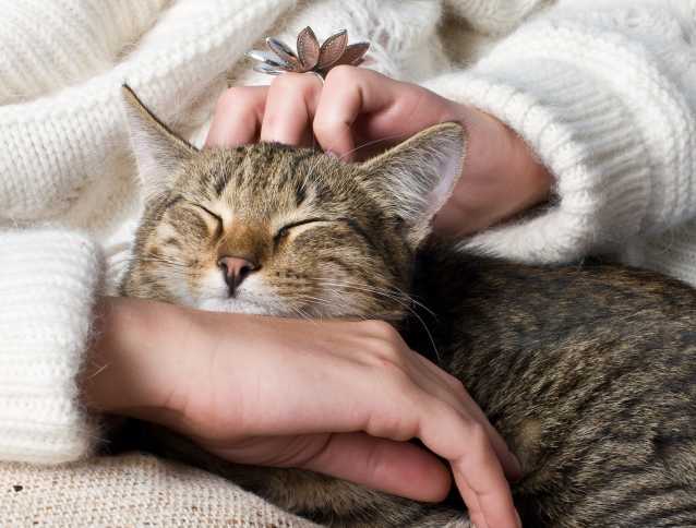 Service chat 60 entre particuliers