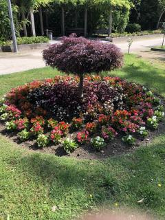 Demander ce jardinier