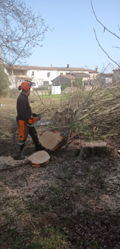 Service : entretien espace vert Service : entretien espace vert