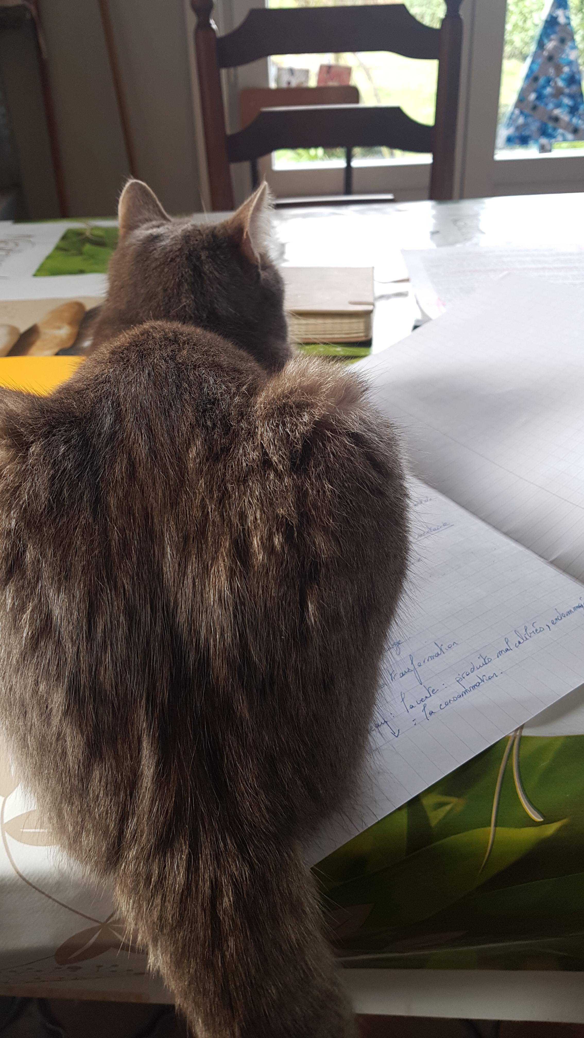 Service chat 59 entre particuliers