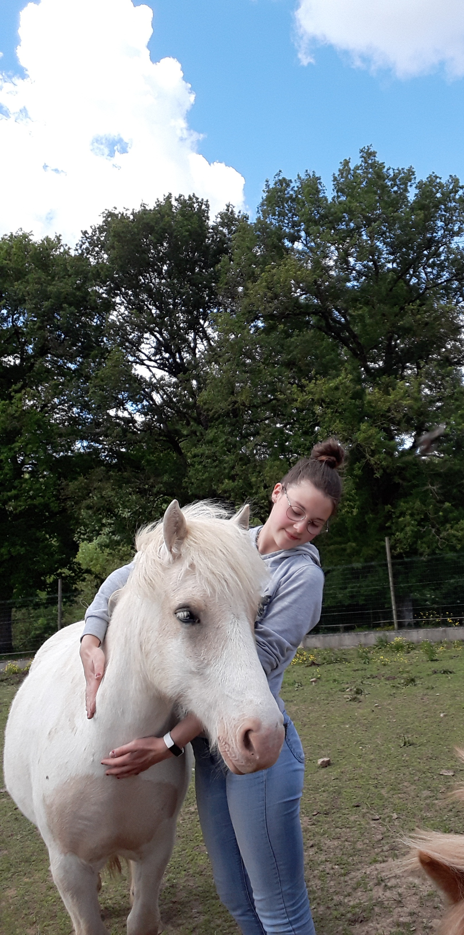 Service garde animaux 44 entre particuliers