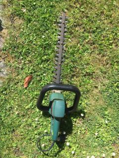 Location : taille haie Location : taille haie