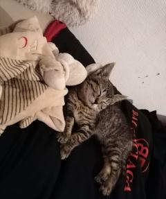 Demander une garde