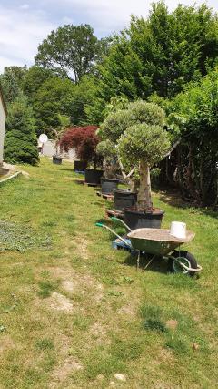 Service : amenagement jardin Service : amenagement jardin