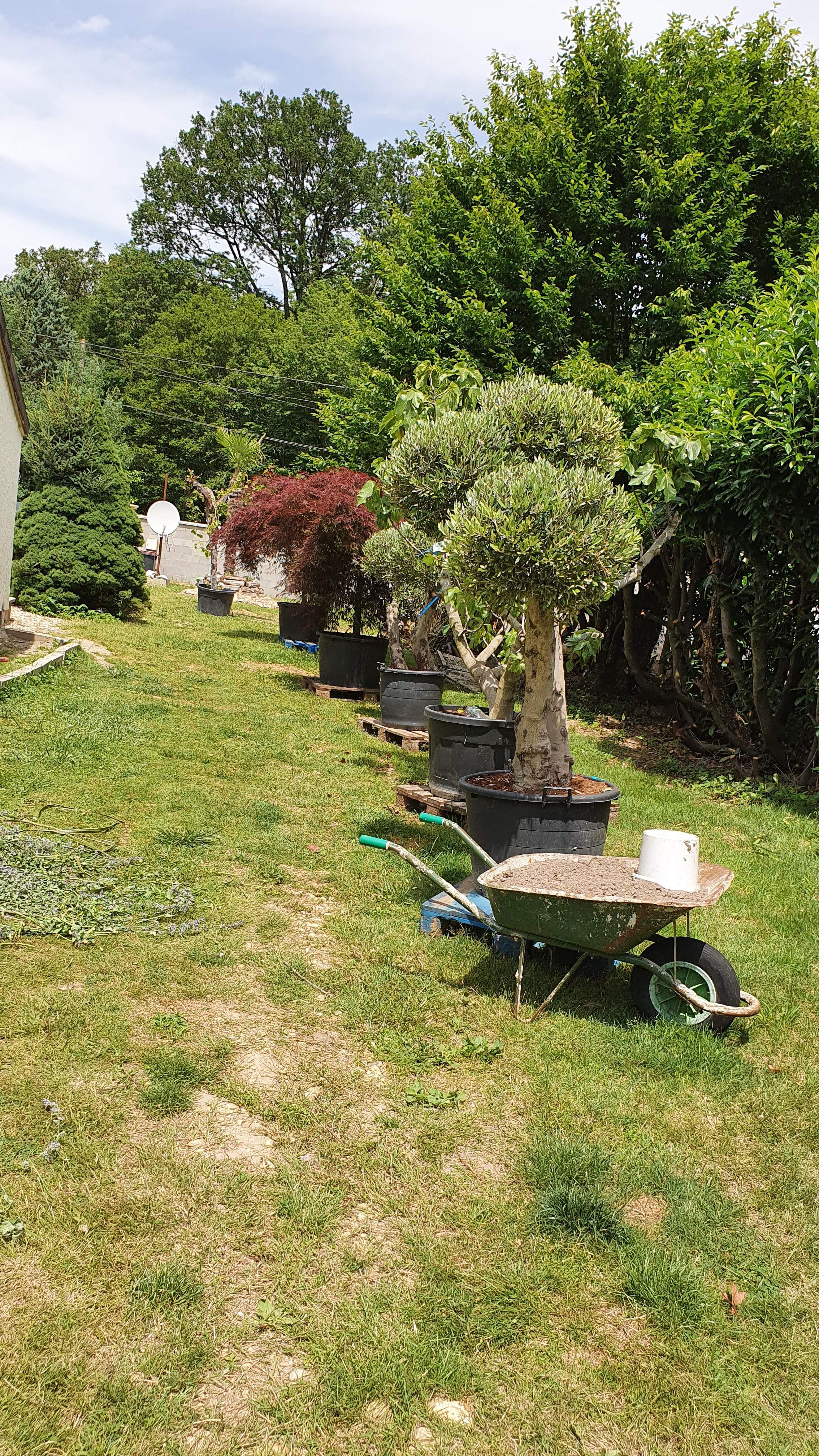 Service amenagement jardin 45 entre particuliers