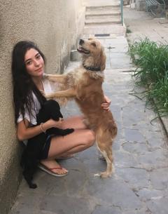 Demander ce petsitter