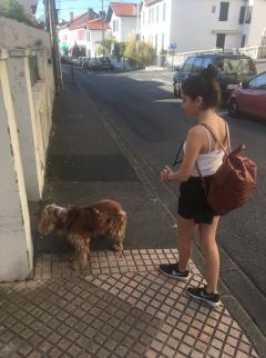 Demander ce petsitter