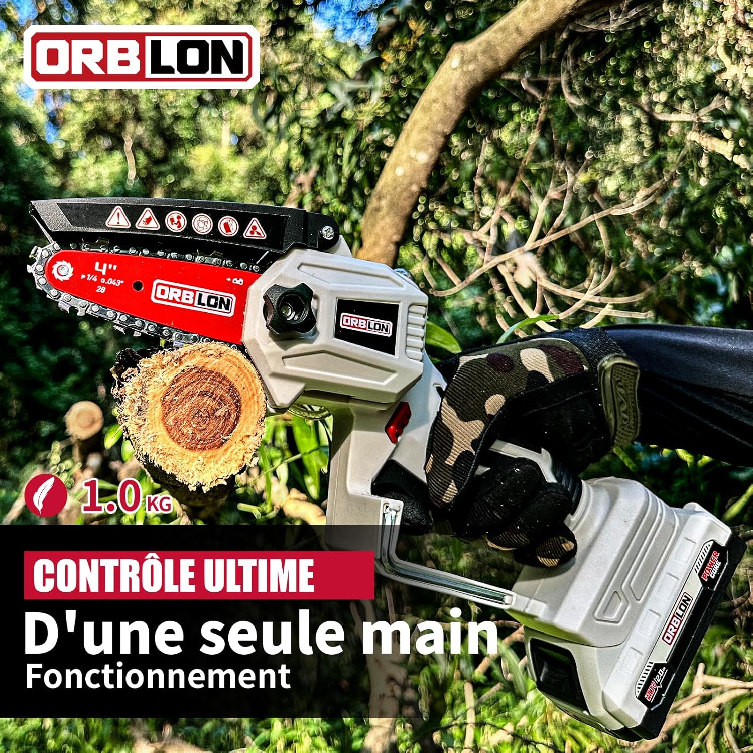 Location tronconneuse 47 entre particuliers